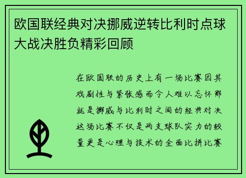 欧国联经典对决挪威逆转比利时点球大战决胜负精彩回顾