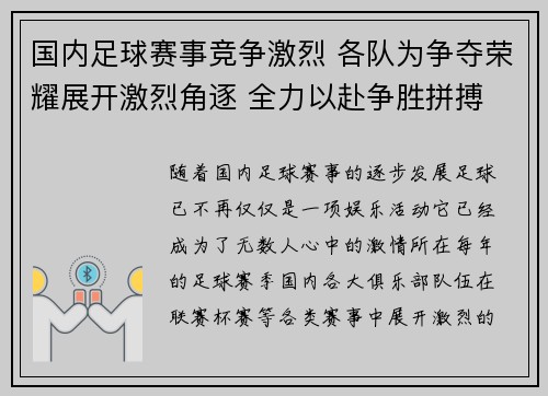 国内足球赛事竞争激烈 各队为争夺荣耀展开激烈角逐 全力以赴争胜拼搏