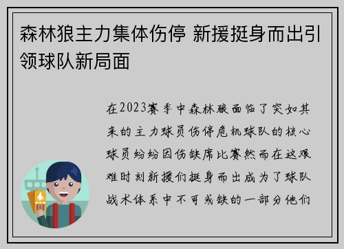 森林狼主力集体伤停 新援挺身而出引领球队新局面