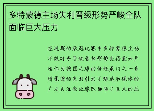 多特蒙德主场失利晋级形势严峻全队面临巨大压力