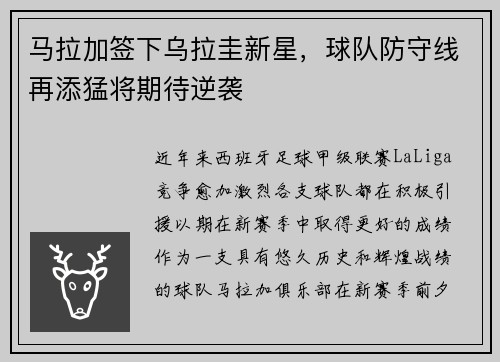 马拉加签下乌拉圭新星，球队防守线再添猛将期待逆袭