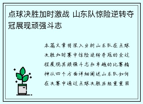 点球决胜加时激战 山东队惊险逆转夺冠展现顽强斗志