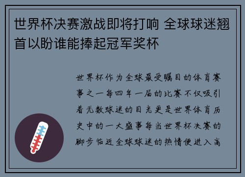 世界杯决赛激战即将打响 全球球迷翘首以盼谁能捧起冠军奖杯